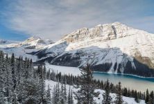 peyto lake.jpg